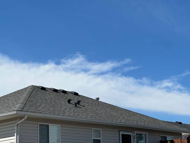 Best Wood Shake Roofing  in Arcadia, SC